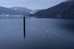 IMG_20260328_095241