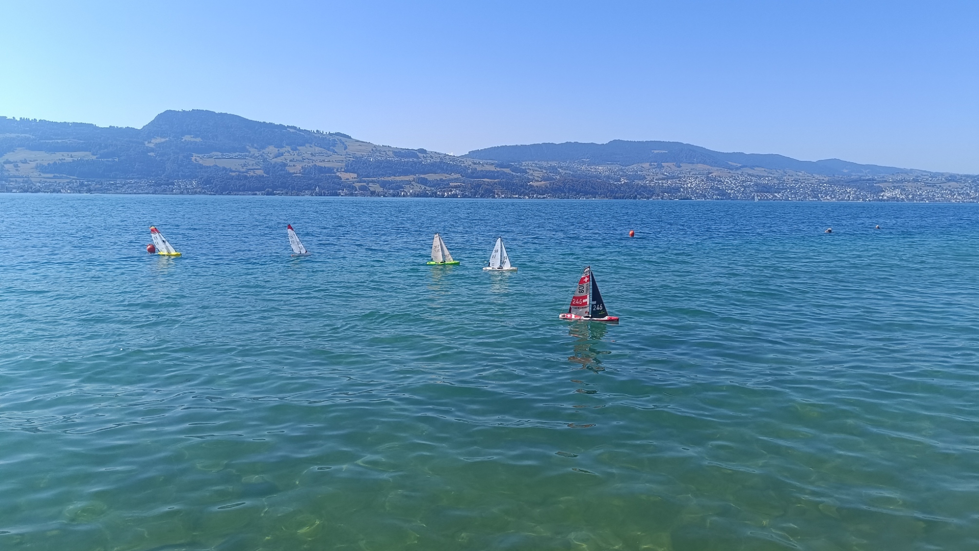 IMG_20260808_110154