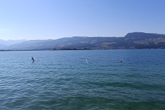 IMG_20260808_103739