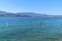 IMG_20260808_103829