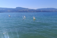 IMG_20260808_122729