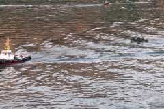 WhatsApp-Bild-2025-06-29-um-11.17.27_6b93bd2f