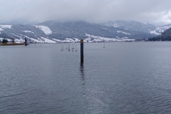IMG_20260329_114521