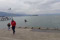 WhatsApp-Bild-2025-03-16-um-06.01.17_648205df