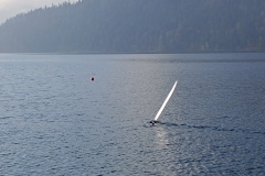 IMG_20250330_091807