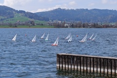 IMG_20250330_134210